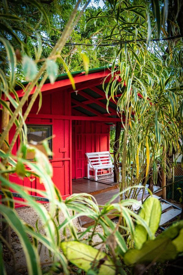 Pura Vida Mini Hostel Santa Teresa Playa Santa Teresa  Ngoại thất bức ảnh