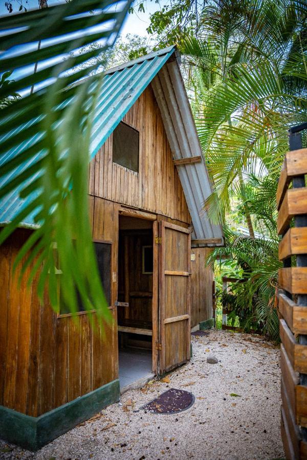 Pura Vida Mini Hostel Santa Teresa Playa Santa Teresa  Ngoại thất bức ảnh