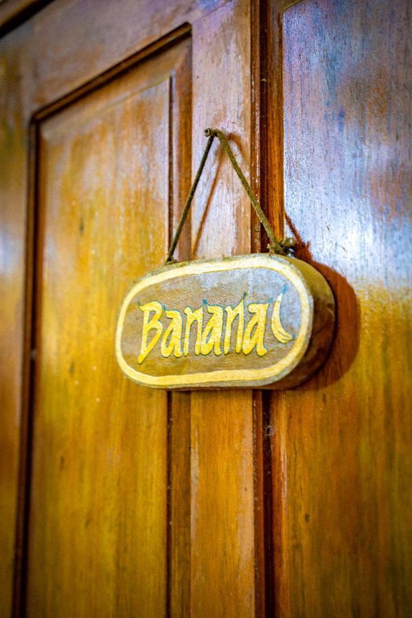 Pura Vida Mini Hostel Santa Teresa Playa Santa Teresa  Ngoại thất bức ảnh