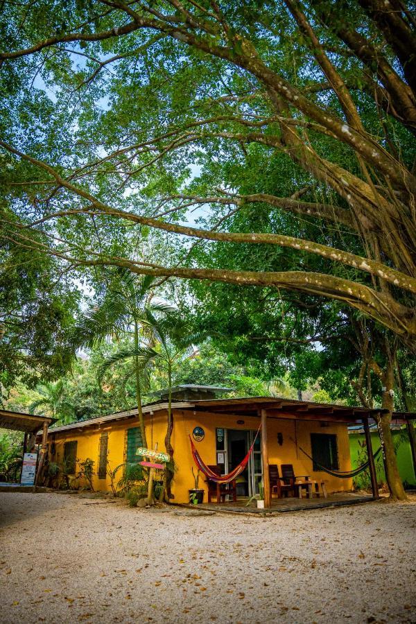 Pura Vida Mini Hostel Santa Teresa Playa Santa Teresa  Ngoại thất bức ảnh