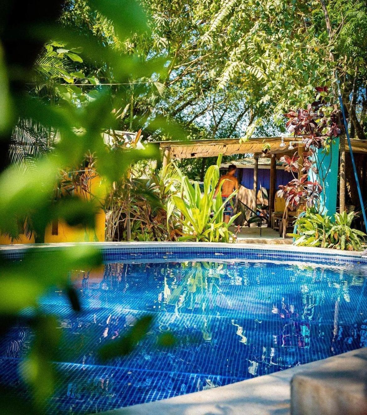Pura Vida Mini Hostel Santa Teresa Playa Santa Teresa  Ngoại thất bức ảnh