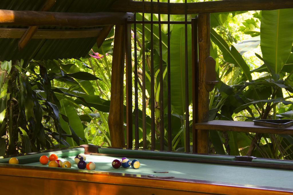 Pura Vida Mini Hostel Santa Teresa Playa Santa Teresa  Ngoại thất bức ảnh